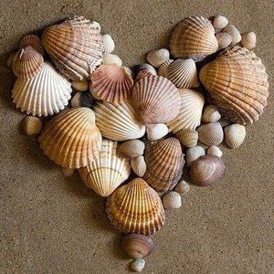 Meet your Posher, Valorie