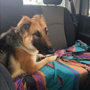 Meet your Posher, Stacy