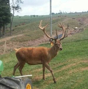 Meet your Posher, Kristy