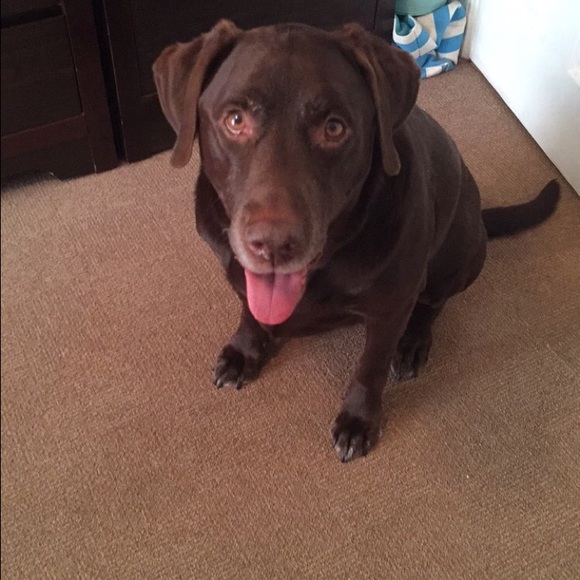 Meet your Posher, Kristen