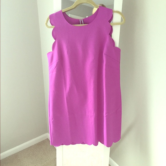 Purple scallop J crew dress. NWT. Size 12