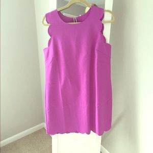 Purple scallop J crew dress. NWT. Size 12