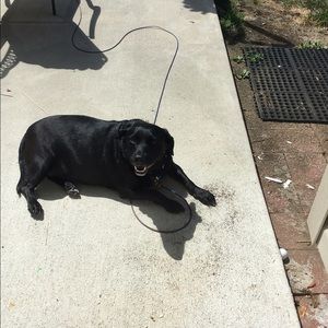 Meet your Posher, Maddy