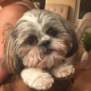 Meet your Posher, Kim