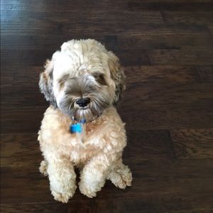 Meet your Posher, Ellen