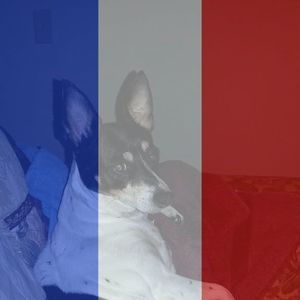 Meet your Posher, Barbara