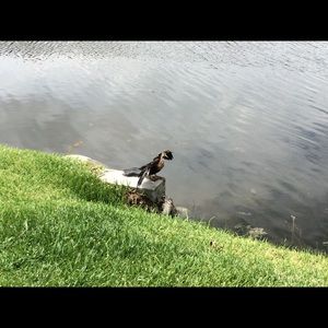 Meet your Posher, Gerald