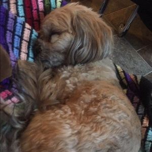 Meet your Posher, Carolyn