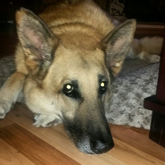 Meet your Posher, Jessica - Picture 1 of 1