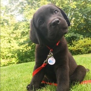 Meet your Posher, Emma