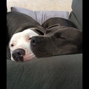 Meet your Posher, Laurel