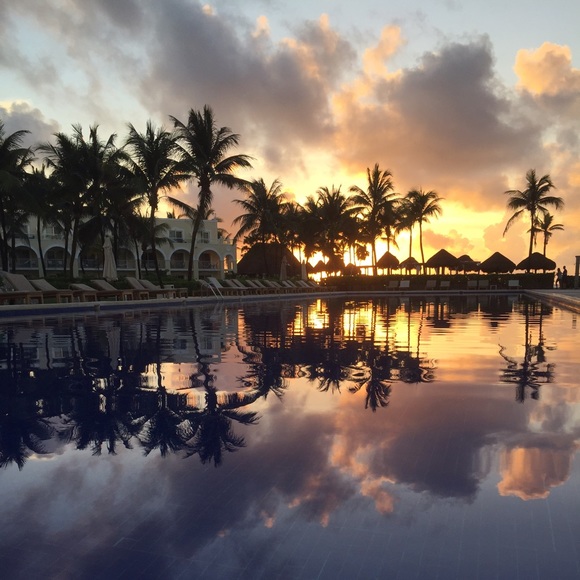 Meet your Posher, Lily - Picture 1 of 1