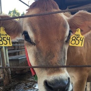 Meet your Posher, Jasmine