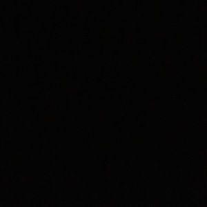 Meet your Posher, Dani