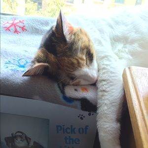 Meet your Posher, Heather