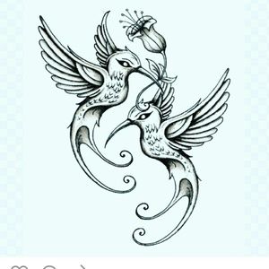 Meet your Posher, Shelby