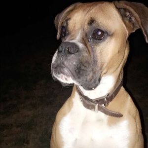 Meet your Posher, Amber