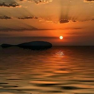 Meet your Posher, Ginger