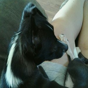 Meet your Posher, Cindy