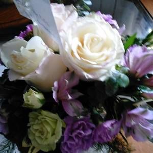 Meet your Posher, Patti