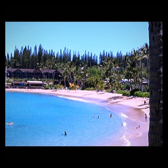 Gone to Maui August 8th-18th.