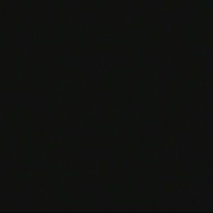 Meet your Posher, Ann