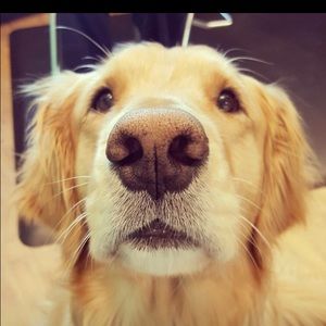 Meet your Posher, Kasey