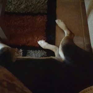 Meet your Posher, Justine