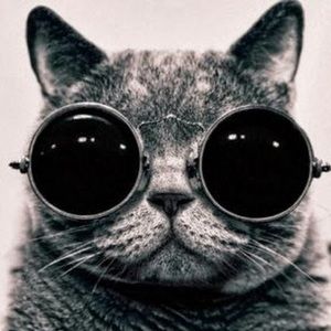 Meet your Posher, Shari