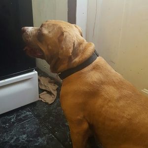 Meet your Posher, Estrella