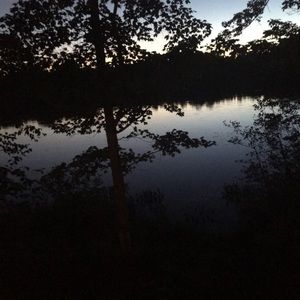 Meet your Posher, Simone