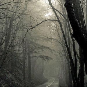 Meet your Posher, Ameea