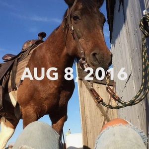 Meet your Posher, Kirsten