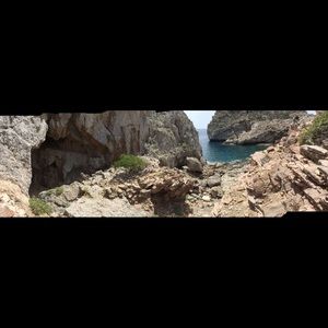 Meet your Posher, Kyra