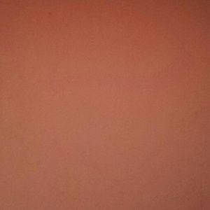 Meet your Posher, Shanique