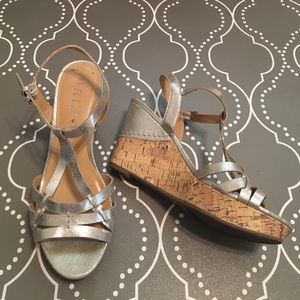 Silver wedges