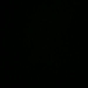 Meet your Posher, Lia