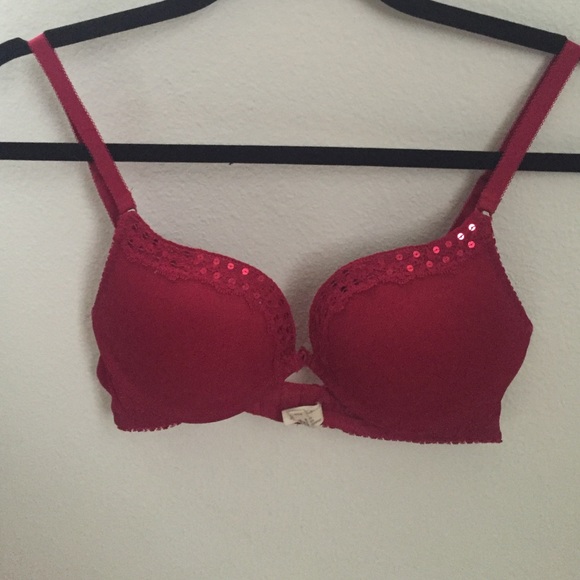 Red aerie bra