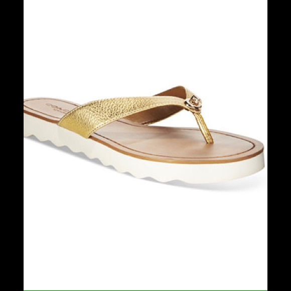 Coach Shoes - Coach flip flops NWOB