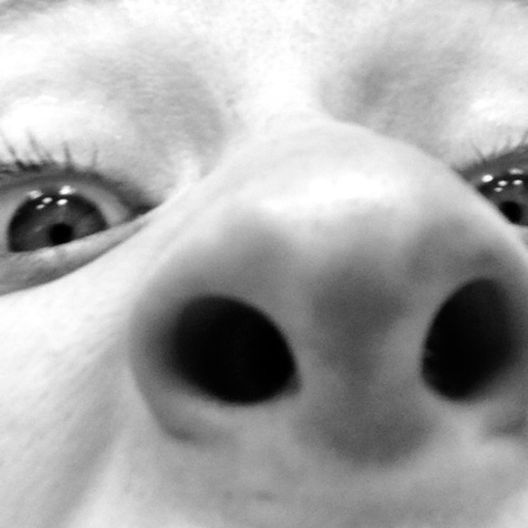 Meet your Posher, Brynae - Picture 1 of 1