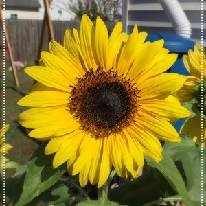 Meet your Posher, Alicia