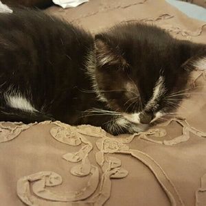 Meet your Posher, Karolima