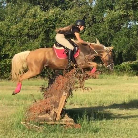 Meet your Posher, Nikki - Picture 1 of 1