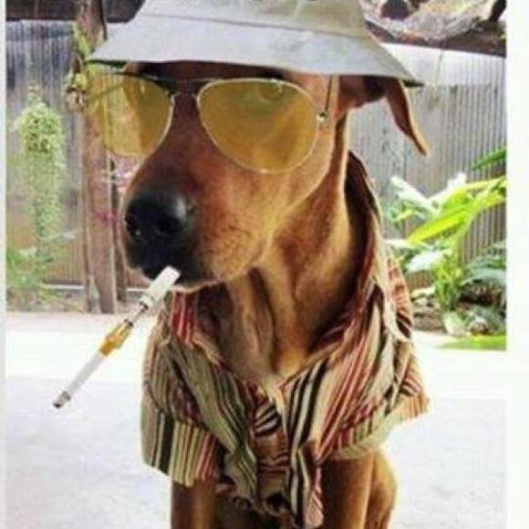 Meet your Posher, Robert