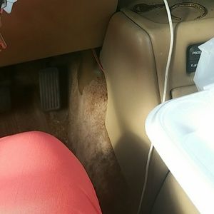 Meet your Posher, Cindi