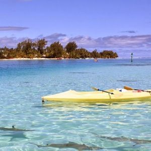 Meet your Posher, Elena