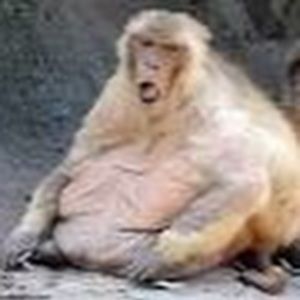 Meet your Posher, Yusuf