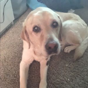 Meet your Posher, Haley