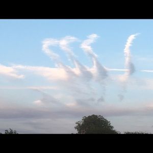 Meet your Posher, Muhammad