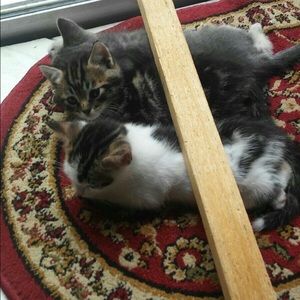 Meet your Posher, Jenni